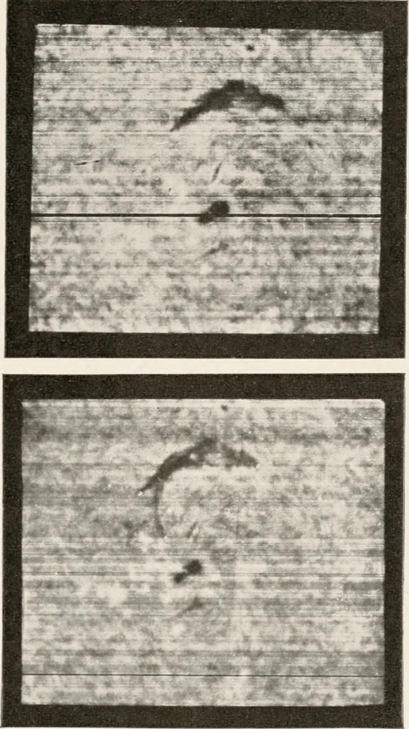 An illustration from The Adolfo Stahl lectures in astronomy, delivered in San Francisco, California, in 1916-17 and 1917-18, under the auspices of the Astronomical Society of the Pacific, 1919, leaf 256