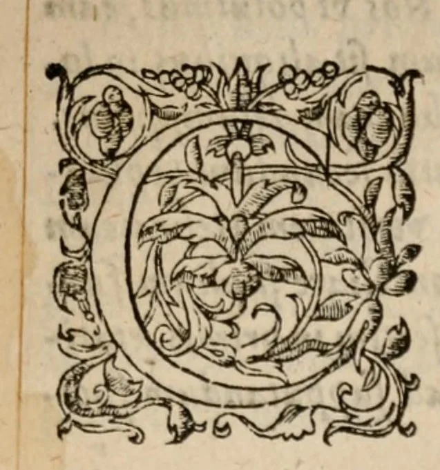 An illustration from Adonis Viennensis ... Breuiarium chronicorum ab origine mundi ad sua vsque tempora, id est ad regnum Ludouici Francorum regis cognomento Simplicis, an. Domini dccclxxx, 1561, leaf 253