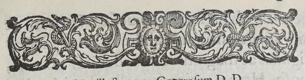 An illustration from Ad perillustrem ac generosum D. D. Petrum Alzanum : patricium Bergomensem, equitem D. Marci splendidissimum, & Antenorei gymnasii iuris candidatorum rectorem digniss. In laurea I. V. suscipienda., 1592, leaf 9