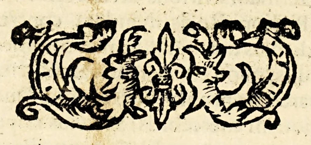 An illustration from Ad potentissimos ac serenissimos reges, principes, reliquośq[ue] amplissimos christiani orbis ordines. : Seria de reip. christianae statu eiuśque salute atque incolumitate conseruanda., 1583, leaf 30