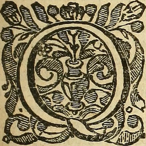 An illustration from Adriani Heereboord ... Meletemata philosophica : in quibus, pleræque res metaphysicæ ventilantur .., 1665, leaf 438
