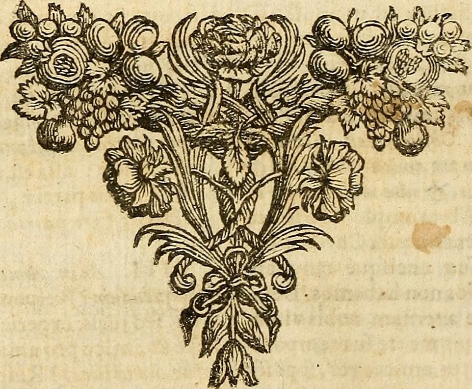 An illustration from Adriani Heereboord ... Meletemata philosophica : in quibus, pleræque res metaphysicæ ventilantur .., 1665, leaf 685