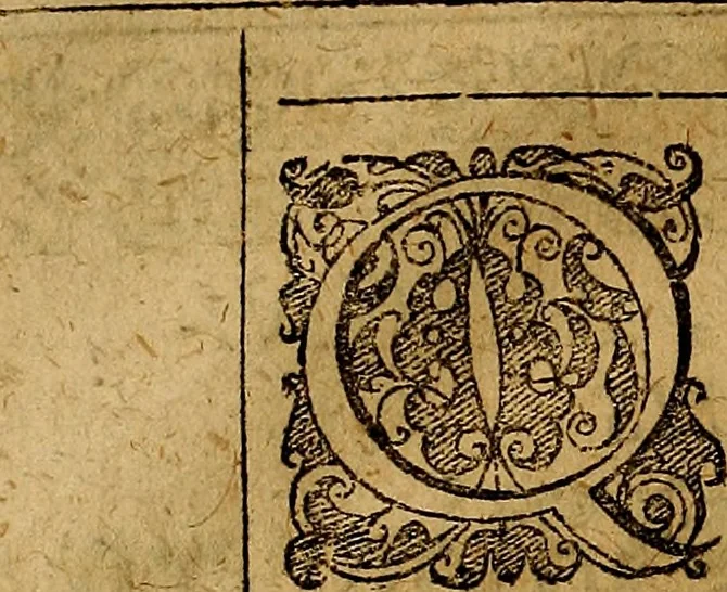 An illustration from Adriani Spigelii Brvxellensis Eqvitis D. Marci ... De formato foetv : liber singularis Æneis figvris exornatvs, epistolæ dvæ anatomicæ, tractatvs de arthritide : opera posthvma studio Liberalis Cremae tarvisini philosoph. & medicinæ doctoris edita, 1631, leaf 137