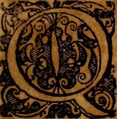 An illustration from Adriani Spigelii Brvxellensis Eqvitis D. Marci ... De formato foetv : liber singularis Æneis figvris exornatvs, epistolæ dvæ anatomicæ, tractatvs de arthritide : opera posthvma studio Liberalis Cremae tarvisini philosoph. & medicinæ doctoris edita, 1631, leaf 24