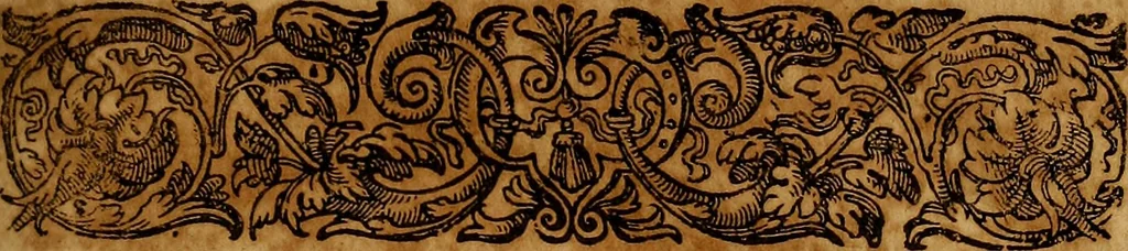An illustration from Adriani Spigelii Brvxellensis Eqvitis D. Marci ... De formato foetv : liber singularis Æneis figvris exornatvs, epistolæ dvæ anatomicæ, tractatvs de arthritide : opera posthvma studio Liberalis Cremae tarvisini philosoph. & medicinæ doctoris edita, 1631, leaf 24