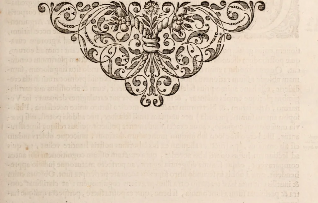 An illustration from Adriani Spigelii Bruxellensis, 1645, leaf 104