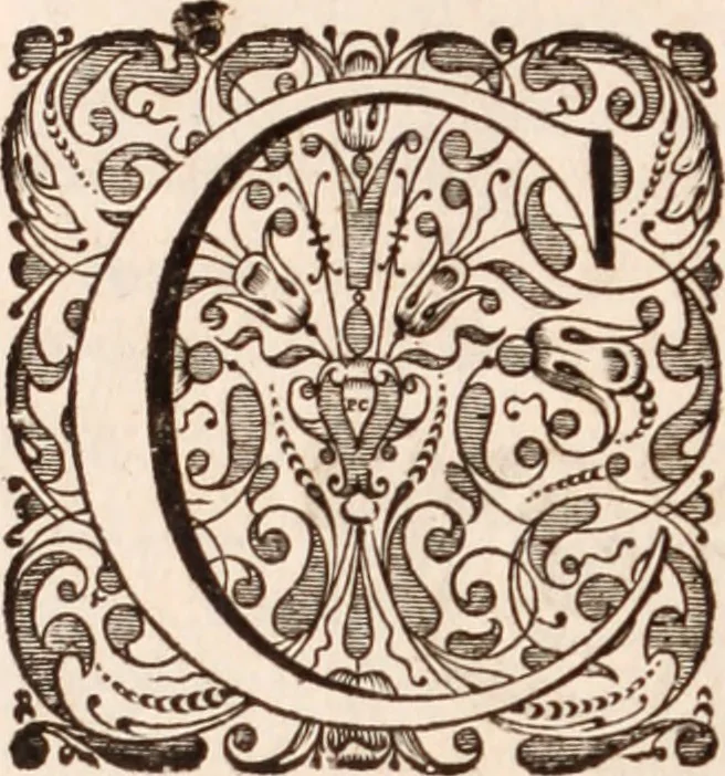 An illustration from Adriani Spigelii Bruxellensis, 1645, leaf 105