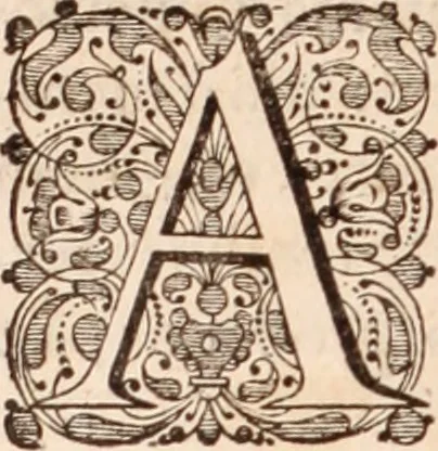 An illustration from Adriani Spigelii Bruxellensis, 1645, leaf 115