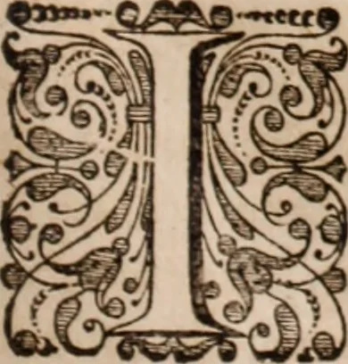 An illustration from Adriani Spigelii Bruxellensis, 1645, leaf 124