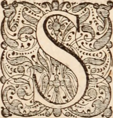 An illustration from Adriani Spigelii Bruxellensis, 1645, leaf 133