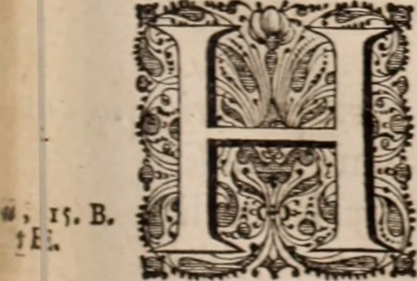 An illustration from Adriani Spigelii Bruxellensis, 1645, leaf 144