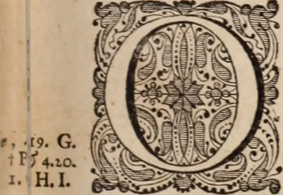 An illustration from Adriani Spigelii Bruxellensis, 1645, leaf 146