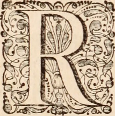 An illustration from Adriani Spigelii Bruxellensis, 1645, leaf 147