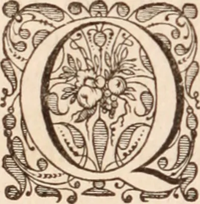 An illustration from Adriani Spigelii Bruxellensis, 1645, leaf 151