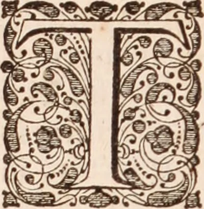 An illustration from Adriani Spigelii Bruxellensis, 1645, leaf 155