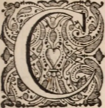 An illustration from Adriani Spigelii Bruxellensis, 1645, leaf 160