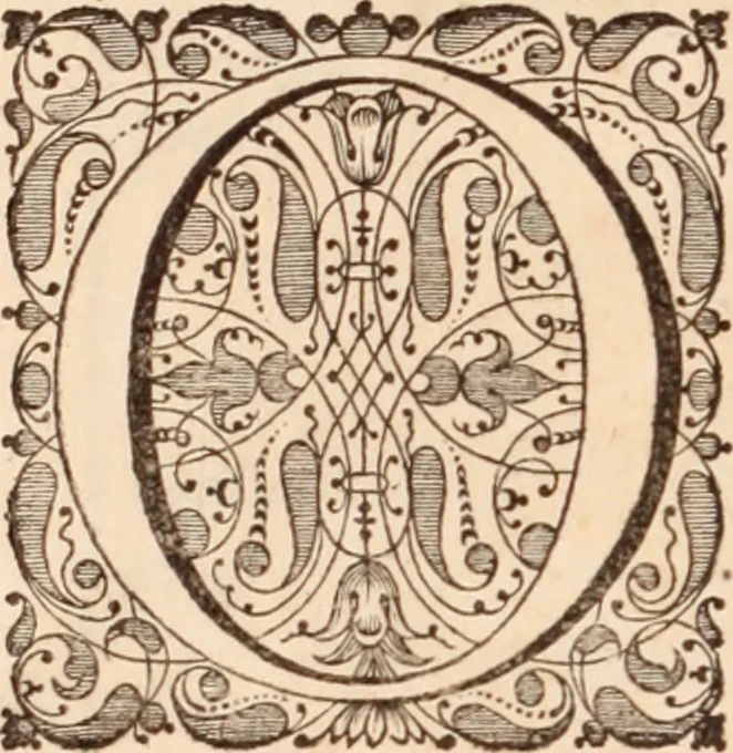 An illustration from Adriani Spigelii Bruxellensis, 1645, leaf 165
