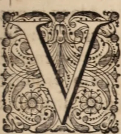 An illustration from Adriani Spigelii Bruxellensis, 1645, leaf 184