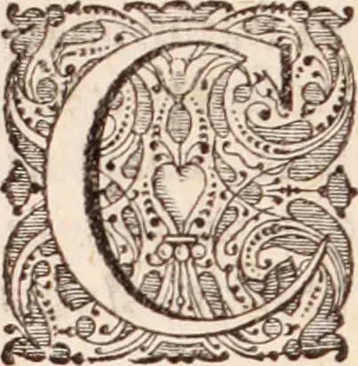 An illustration from Adriani Spigelii Bruxellensis, 1645, leaf 191
