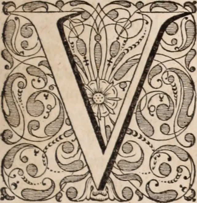 An illustration from Adriani Spigelii Bruxellensis, 1645, leaf 198