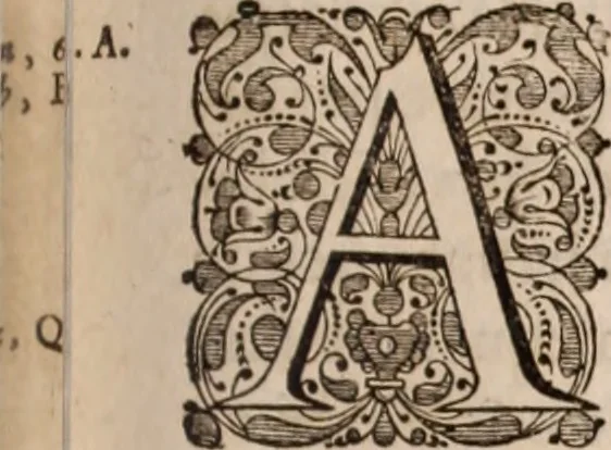 An illustration from Adriani Spigelii Bruxellensis, 1645, leaf 204