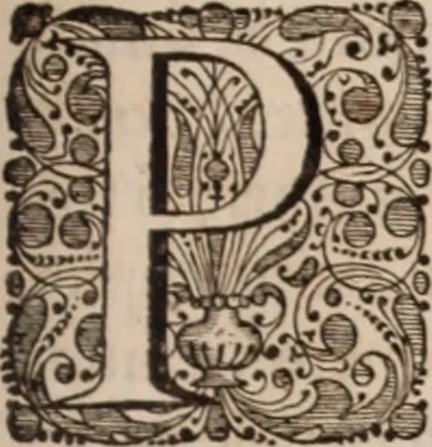 An illustration from Adriani Spigelii Bruxellensis, 1645, leaf 210