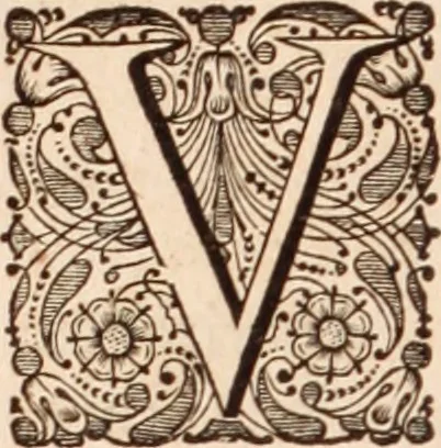 An illustration from Adriani Spigelii Bruxellensis, 1645, leaf 211