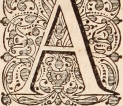 An illustration from Adriani Spigelii Bruxellensis, 1645, leaf 225