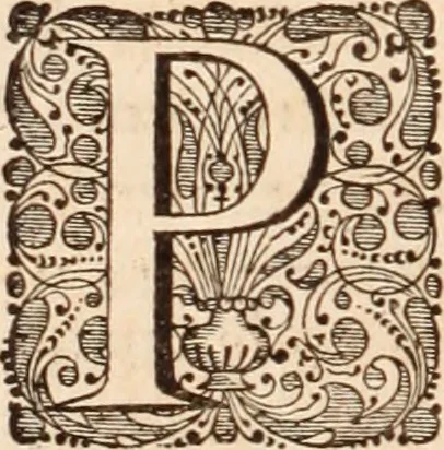 An illustration from Adriani Spigelii Bruxellensis, 1645, leaf 237