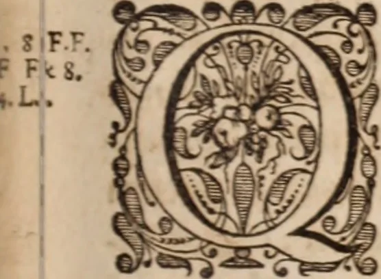 An illustration from Adriani Spigelii Bruxellensis, 1645, leaf 246