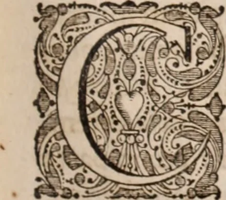 An illustration from Adriani Spigelii Bruxellensis, 1645, leaf 250