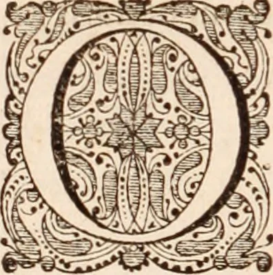 An illustration from Adriani Spigelii Bruxellensis, 1645, leaf 251