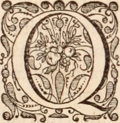 An illustration from Adriani Spigelii Bruxellensis, 1645, leaf 261