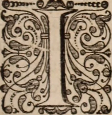 An illustration from Adriani Spigelii Bruxellensis, 1645, leaf 264