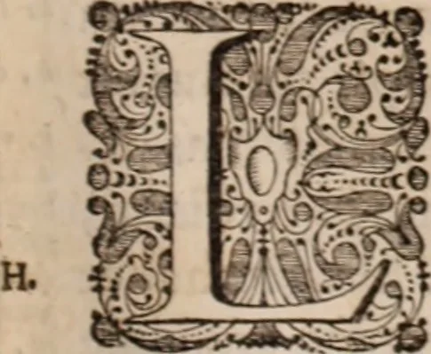 An illustration from Adriani Spigelii Bruxellensis, 1645, leaf 266
