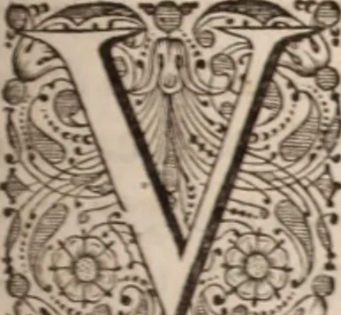 An illustration from Adriani Spigelii Bruxellensis, 1645, leaf 284