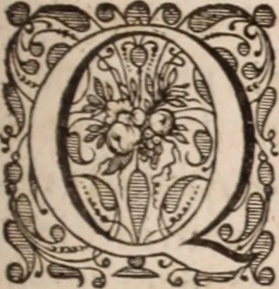 An illustration from Adriani Spigelii Bruxellensis, 1645, leaf 288