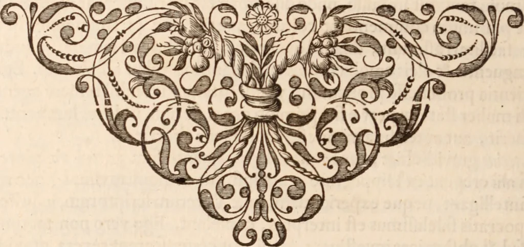 An illustration from Adriani Spigelii Bruxellensis, 1645, leaf 291