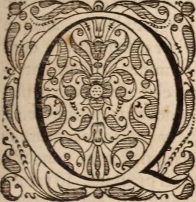 An illustration from Adriani Spigelii Bruxellensis, 1645, leaf 292