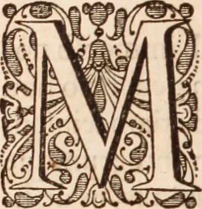 An illustration from Adriani Spigelii Bruxellensis, 1645, leaf 293