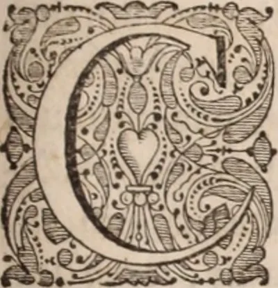 An illustration from Adriani Spigelii Bruxellensis, 1645, leaf 300