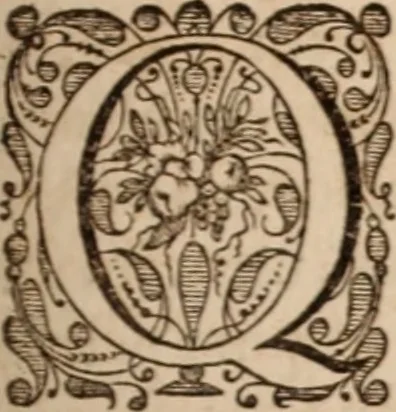 An illustration from Adriani Spigelii Bruxellensis, 1645, leaf 302