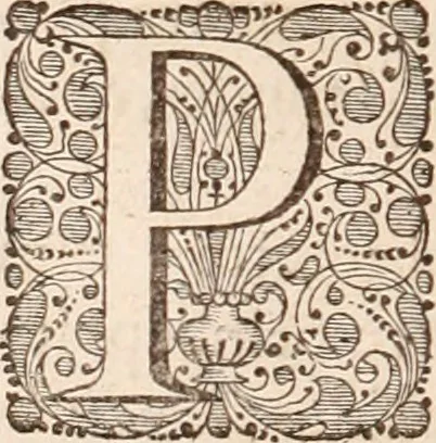 An illustration from Adriani Spigelii Bruxellensis, 1645, leaf 307