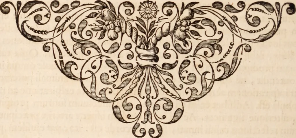 An illustration from Adriani Spigelii Bruxellensis, 1645, leaf 311