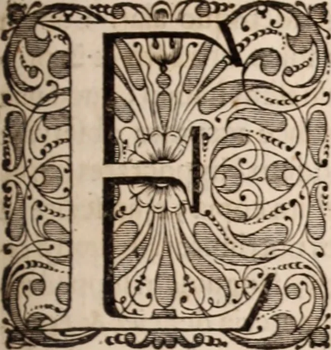 An illustration from Adriani Spigelii Bruxellensis, 1645, leaf 312
