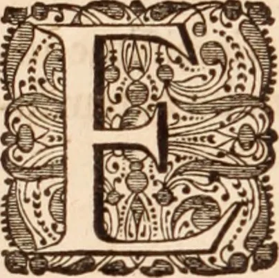An illustration from Adriani Spigelii Bruxellensis, 1645, leaf 315