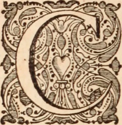 An illustration from Adriani Spigelii Bruxellensis, 1645, leaf 317