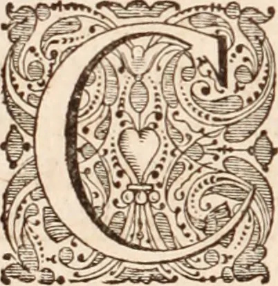 An illustration from Adriani Spigelii Bruxellensis, 1645, leaf 319
