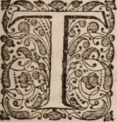 An illustration from Adriani Spigelii Bruxellensis, 1645, leaf 320