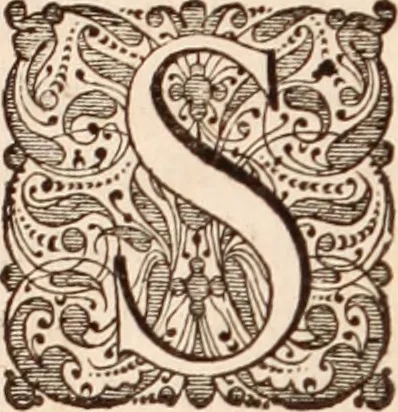 An illustration from Adriani Spigelii Bruxellensis, 1645, leaf 321